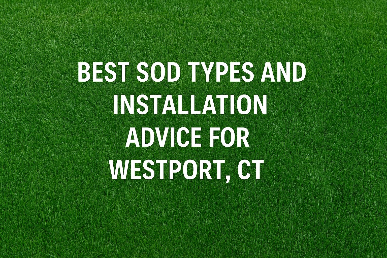 Best Sod Types and Installation Advice for Westport, CT