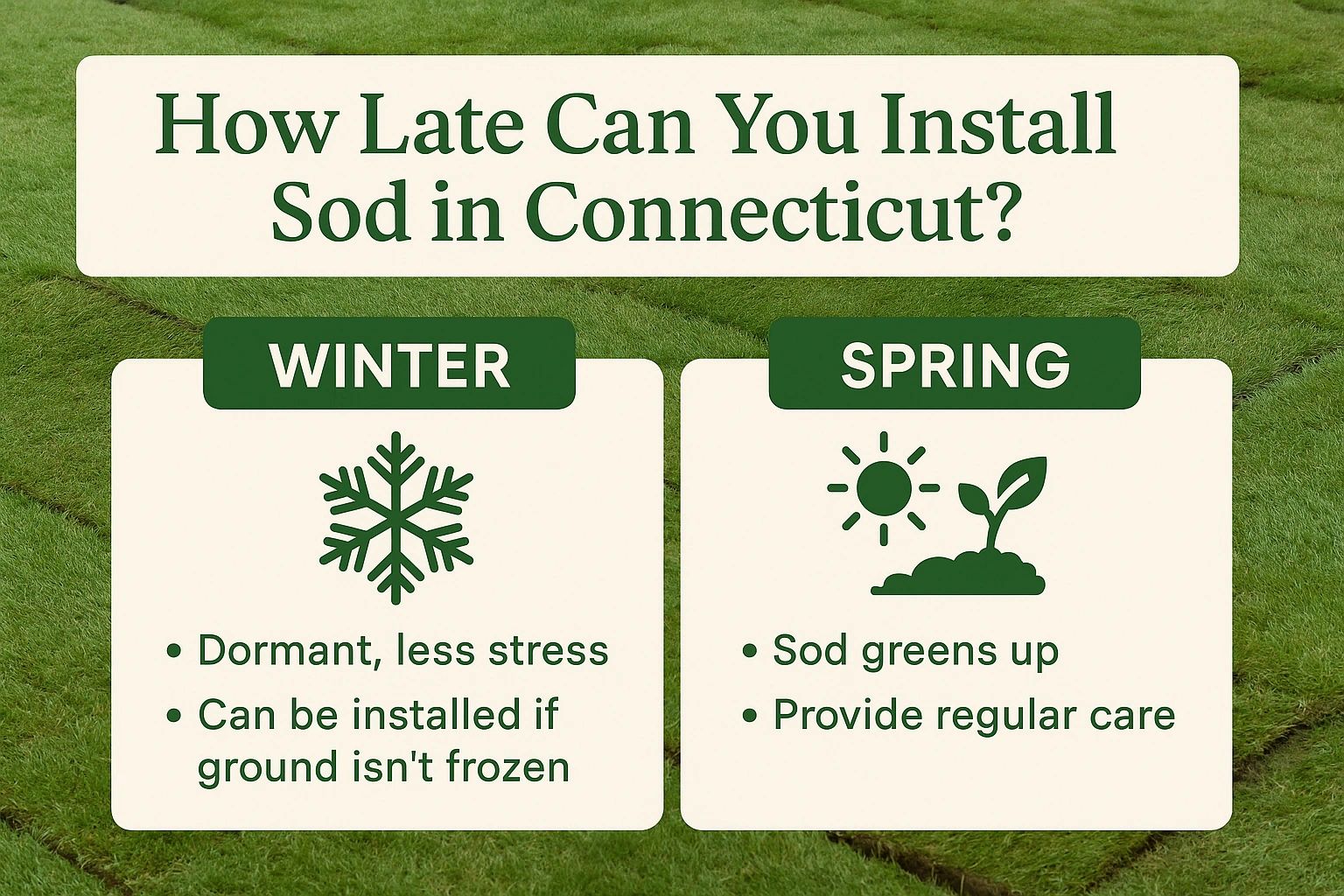 How Late Can You Install Sod in Connecticut?