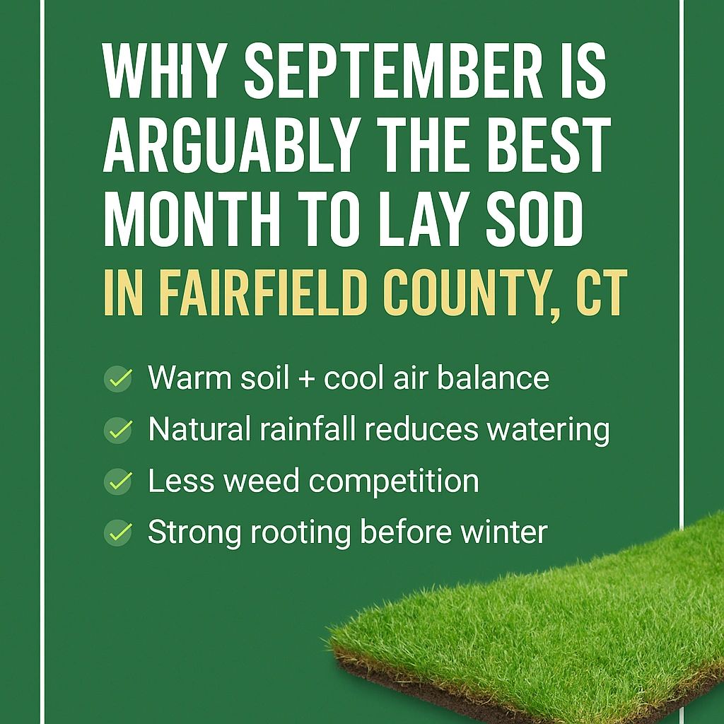Why September Is One the Best Months For Sod in Fairfield County