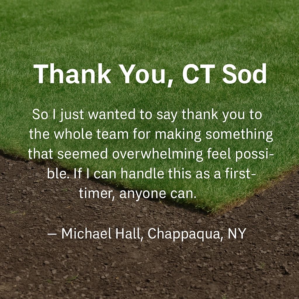 Thank You, CT Sod