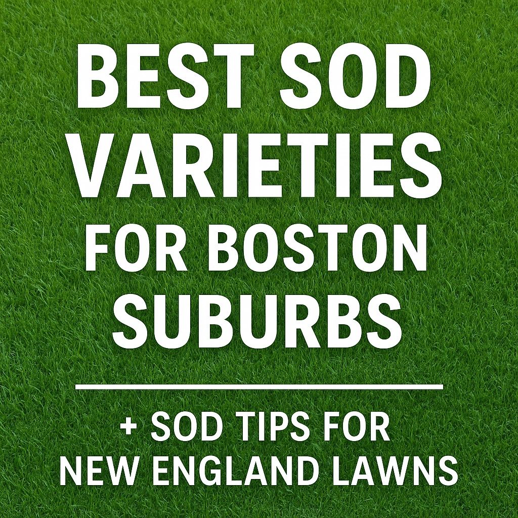 Sod Delivery & Installation in Greater Boston | CT Sod