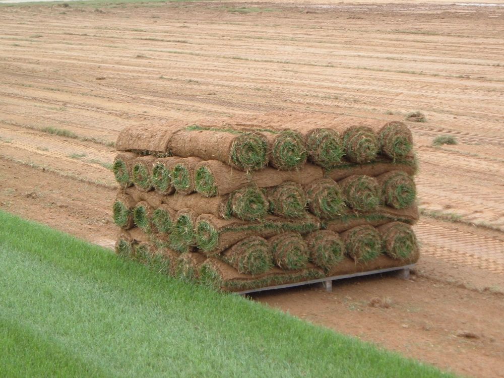 Pallet Of Kentucky Bluegrass Sod