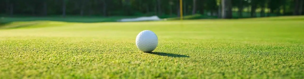 Creeping Bentgrass Sod
