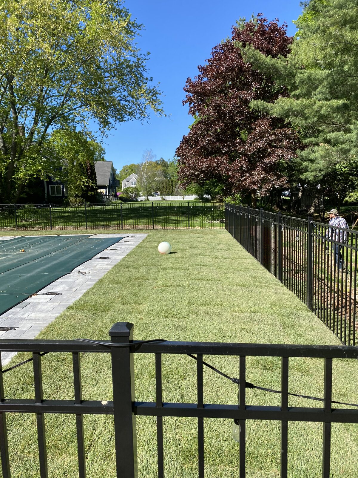 Finished green sod lawn alongside the inground pool in Milford, CT, with black metal fencing and mature trees in the background - the completed 1,500 square foot sod install.
