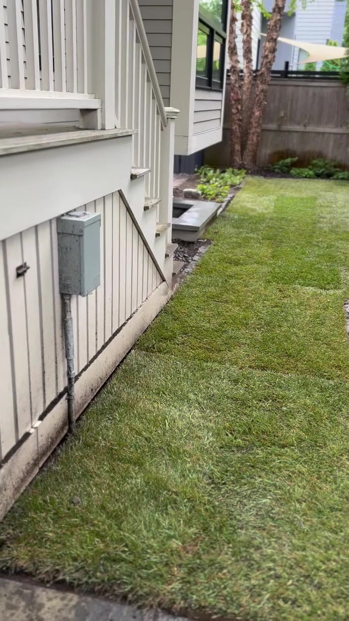 Finished walkthrough of a backyard sod install with clean seams in Cambridge, MA