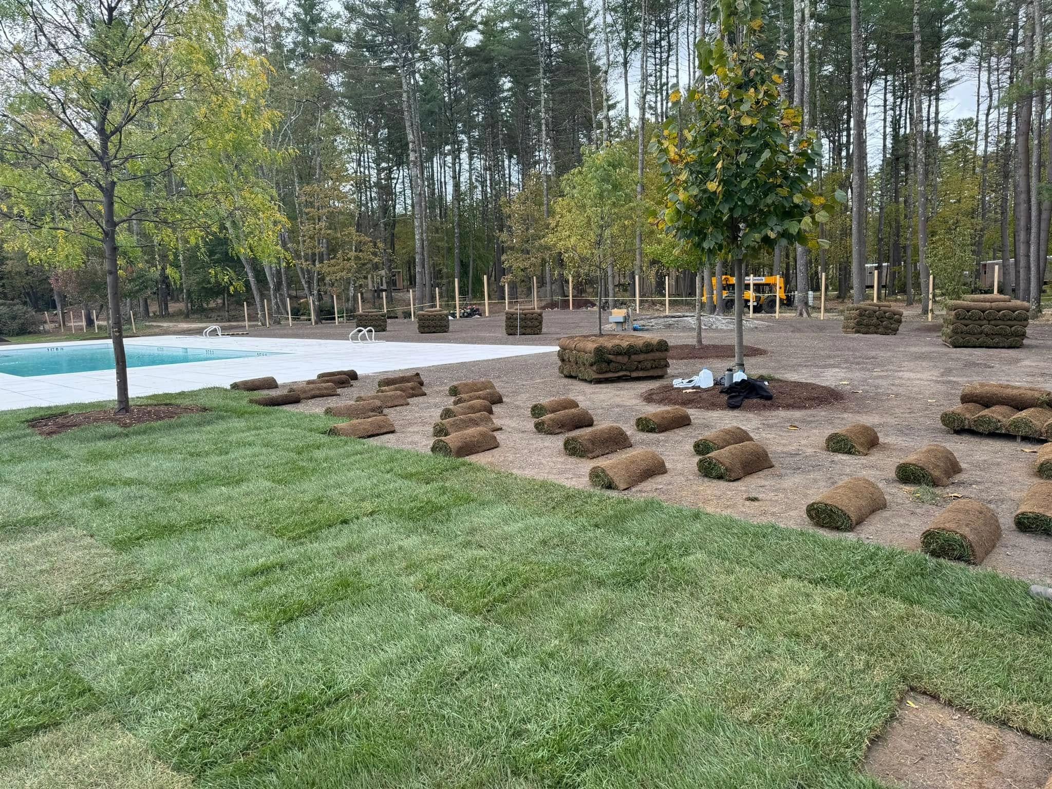 What Fertilizer Should You Use on New Sod?