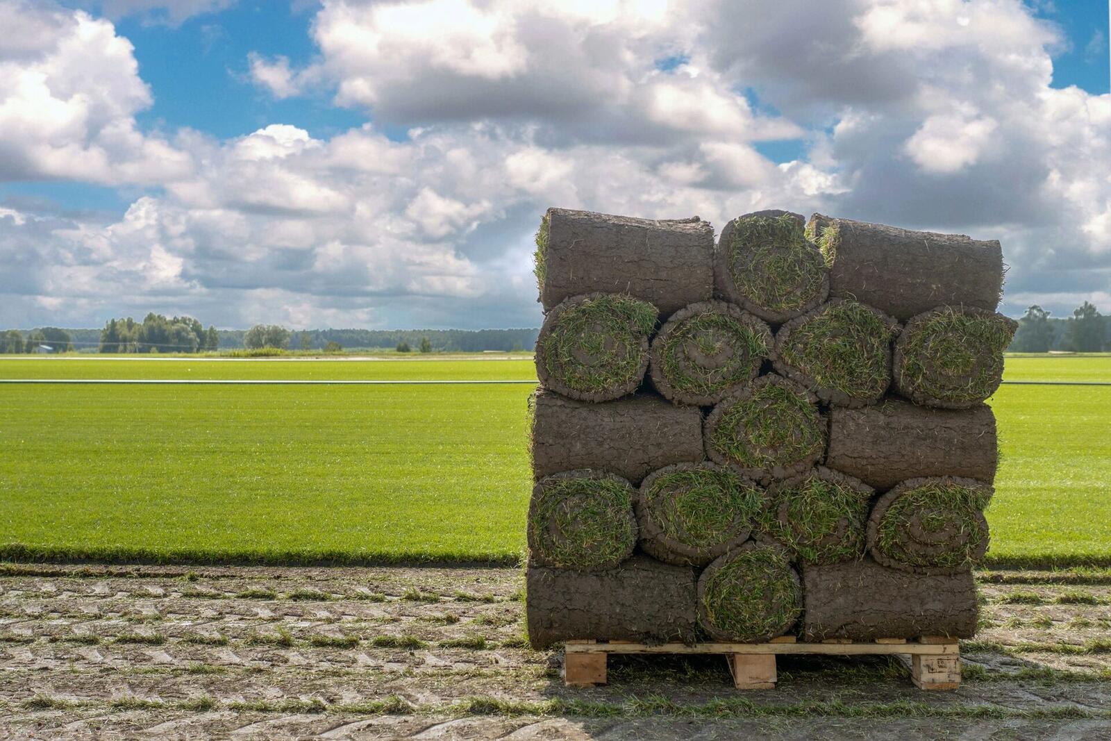 Sod Pallet Delivery