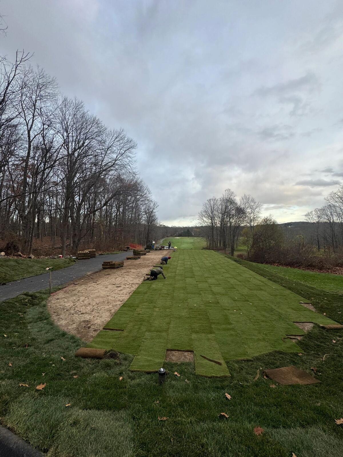 Golf Course Sod Supplier