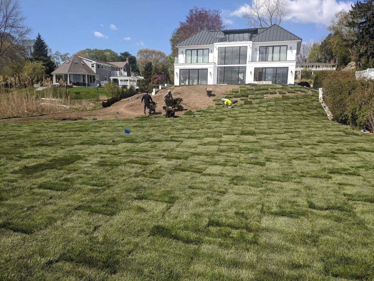 Sod installation