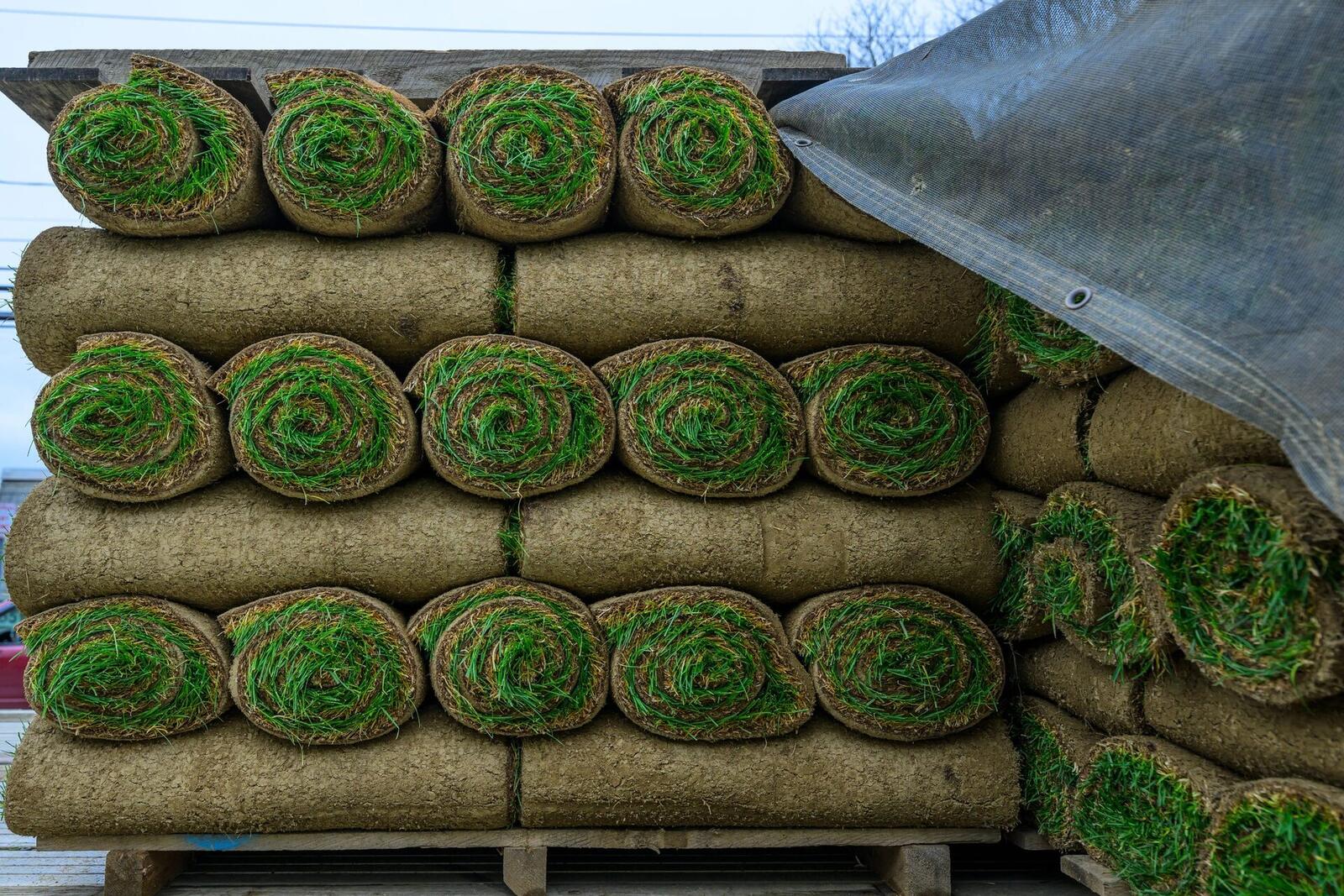 Sod Delivery in Massachusetts