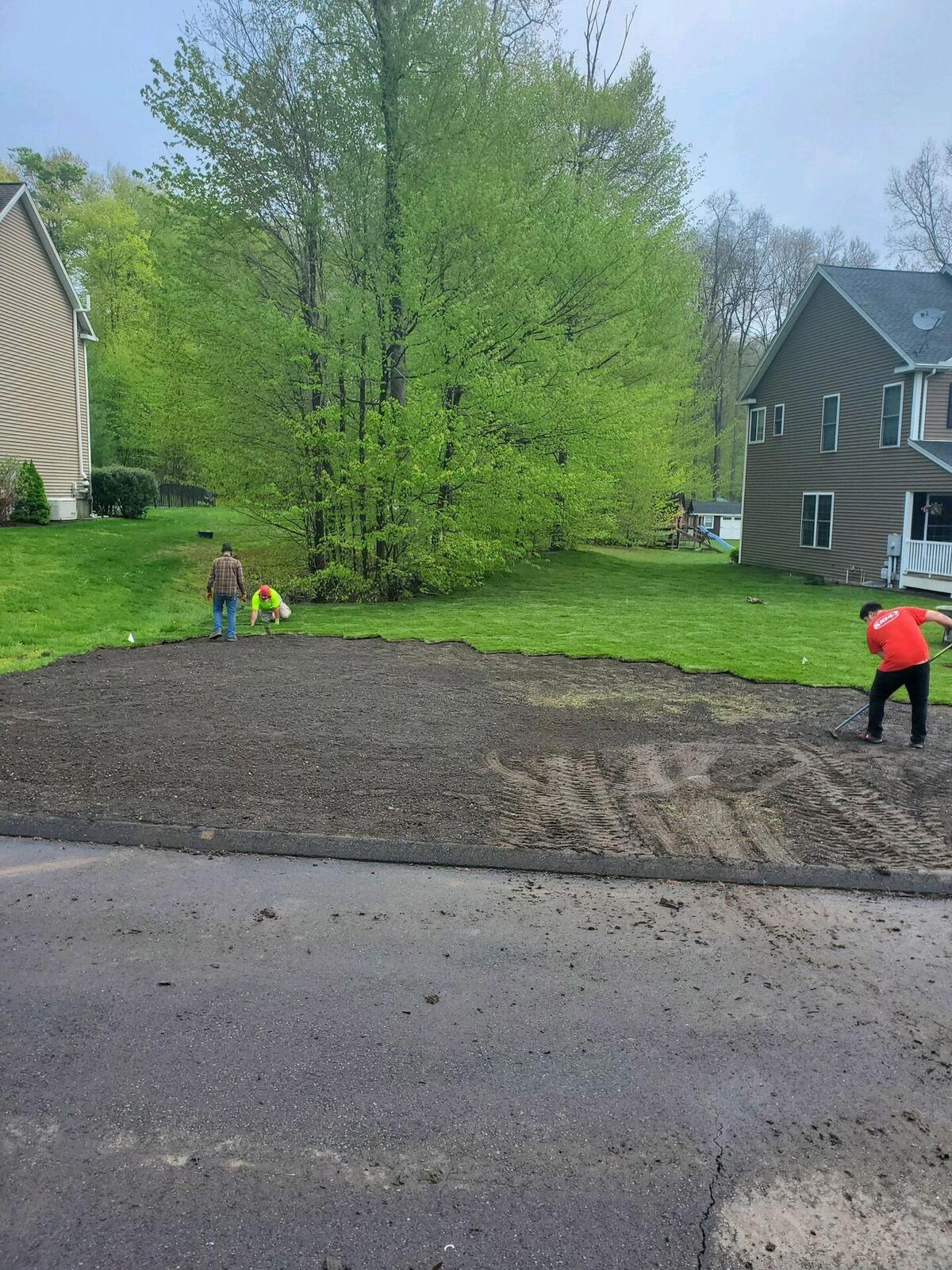 Sod installation
