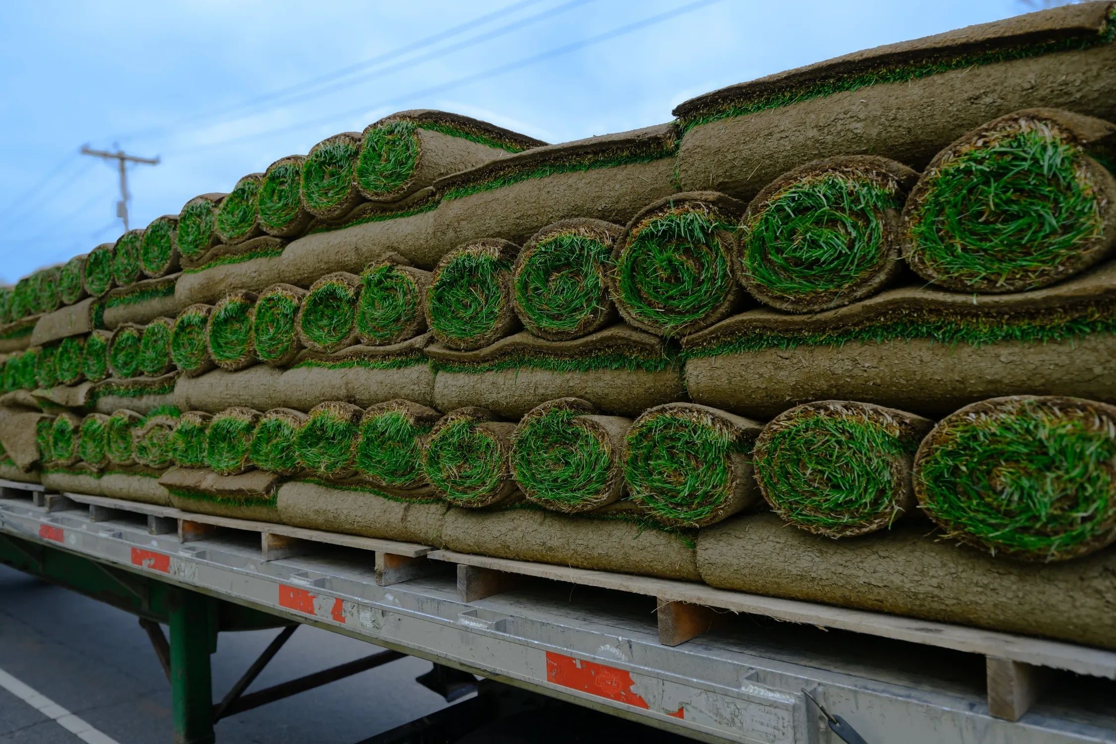 Sod Installation Guide for the Northeast