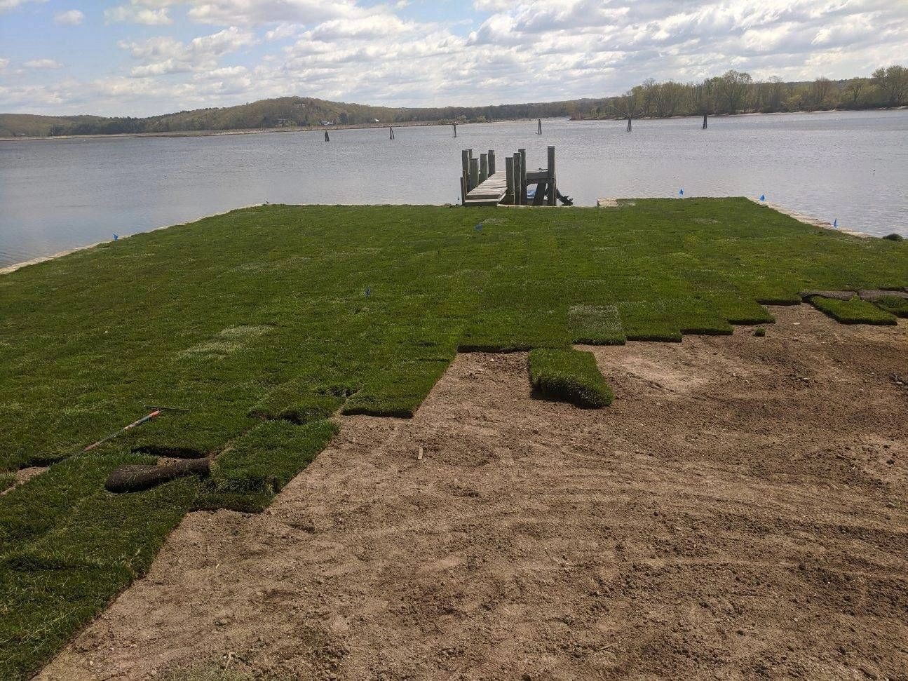 Sod installation